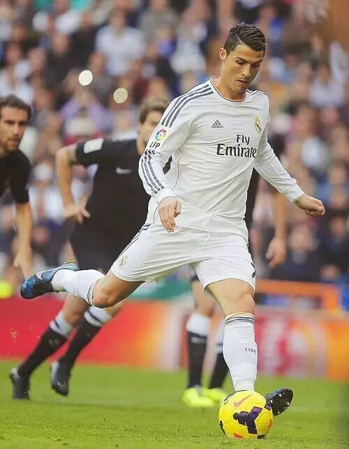 哈雷尔表现 哈雷尔表现